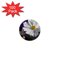 Cosmea   1  Mini Button Magnet (100 Pack)