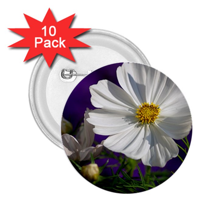 Cosmea   2.25  Button (10 pack)