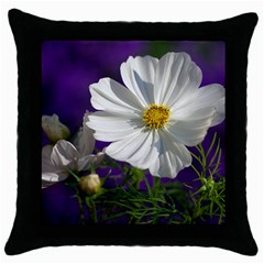 Cosmea   Black Throw Pillow Case by Siebenhuehner