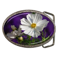 Cosmea   Belt Buckle (oval) by Siebenhuehner