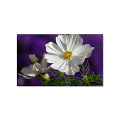 Cosmea   Sticker 100 Pack (rectangle) by Siebenhuehner