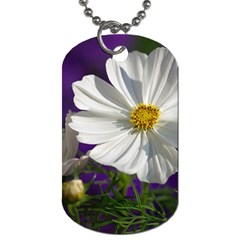 Cosmea   Dog Tag (two-sided)  by Siebenhuehner