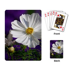 Cosmea   Playing Cards Single Design by Siebenhuehner