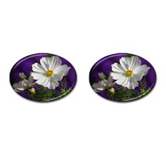 Cosmea   Cufflinks (oval)