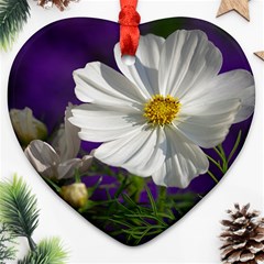 Cosmea   Heart Ornament (two Sides) by Siebenhuehner