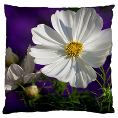 Cosmea   Large Cushion Case (single Sided)  by Siebenhuehner