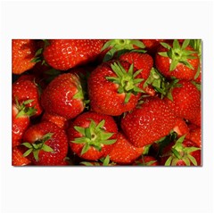 Strawberry  Postcards 5  X 7  (10 Pack) by Siebenhuehner