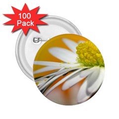 Daisy With Drops 2 25  Button (100 Pack) by Siebenhuehner