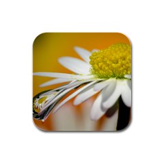 Daisy With Drops Drink Coasters 4 Pack (square) by Siebenhuehner