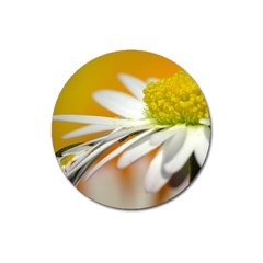 Daisy With Drops Magnet 3  (round)