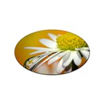 Daisy With Drops Sticker 100 Pack (Oval) Front