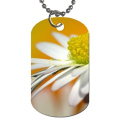 Daisy With Drops Dog Tag (two-sided)  by Siebenhuehner