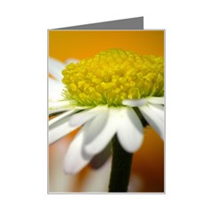 Daisy With Drops Mini Greeting Card by Siebenhuehner