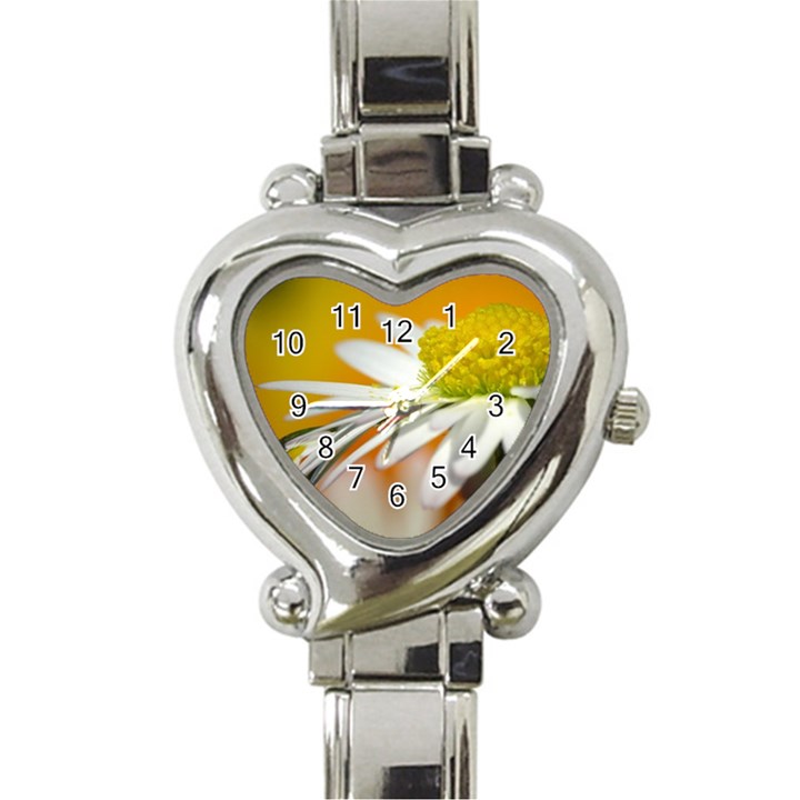 Daisy With Drops Heart Italian Charm Watch 