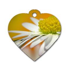 Daisy With Drops Dog Tag Heart (one Sided) 