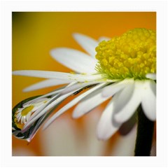 Daisy With Drops Glasses Cloth (medium)