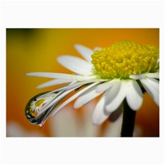 Daisy With Drops Glasses Cloth (large, Two Sided) by Siebenhuehner