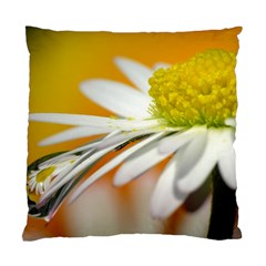 Daisy With Drops Cushion Case (two Sided)  by Siebenhuehner