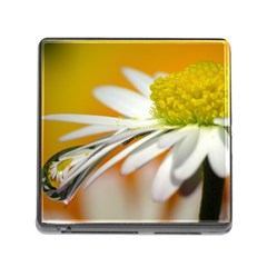 Daisy With Drops Memory Card Reader With Storage (square) by Siebenhuehner