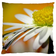 Daisy With Drops Large Cushion Case (two Sided) 