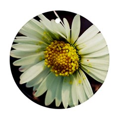 Daisy Round Ornament