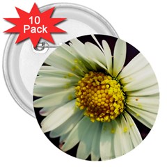 Daisy 3  Button (10 Pack) by Siebenhuehner