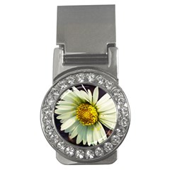 Daisy Money Clip (cz) by Siebenhuehner