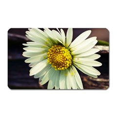 Daisy Magnet (rectangular)