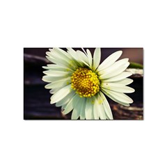 Daisy Sticker 10 Pack (rectangle)