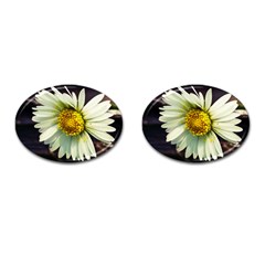 Daisy Cufflinks (oval) by Siebenhuehner