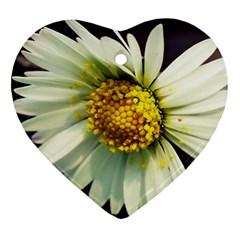 Daisy Heart Ornament (two Sides) by Siebenhuehner