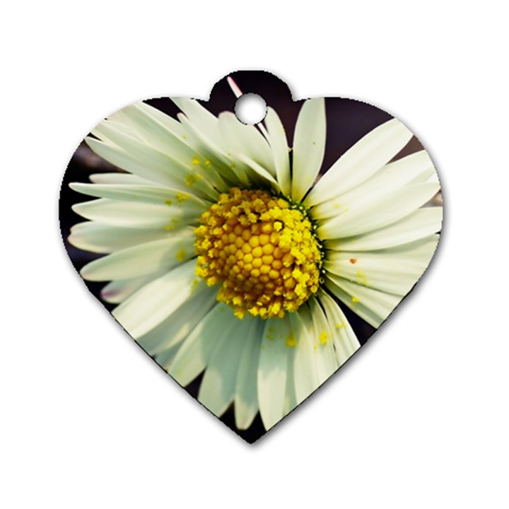 Daisy Dog Tag Heart (Two Sided)