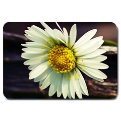 Daisy Large Door Mat by Siebenhuehner