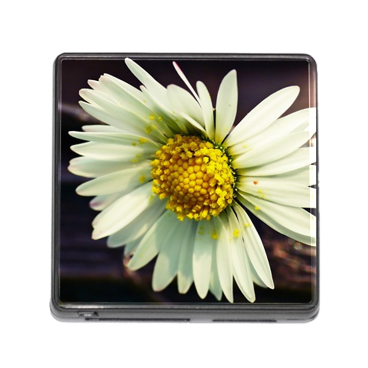 Daisy Memory Card Reader with Storage (Square)