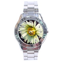 Daisy Stainless Steel Watch (men s) by Siebenhuehner