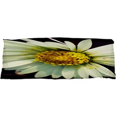 Daisy Samsung Galaxy Sl I9003 Hardshell Case by Siebenhuehner