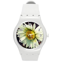 Daisy Plastic Sport Watch (medium) by Siebenhuehner