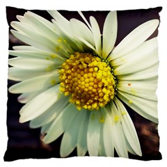 Daisy Large Cushion Case (single Sided)  by Siebenhuehner