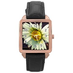 Daisy Rose Gold Leather Watch 