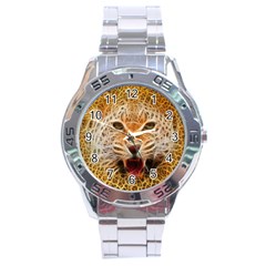 66w Stainless Steel Watch (men s)