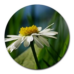 Daisy 8  Mouse Pad (round) by Siebenhuehner