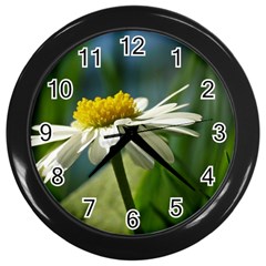 Daisy Wall Clock (black) by Siebenhuehner