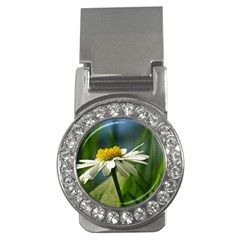 Daisy Money Clip (cz) by Siebenhuehner