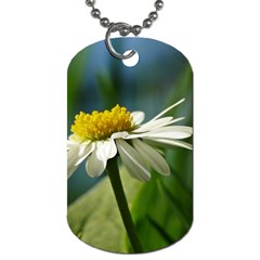 Daisy Dog Tag (one Sided)