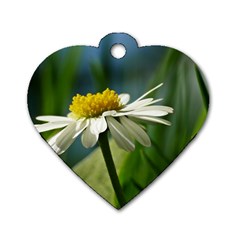 Daisy Dog Tag Heart (two Sided) by Siebenhuehner