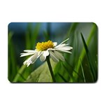 Daisy Small Door Mat 24 x16  Door Mat