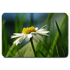 Daisy Large Door Mat by Siebenhuehner