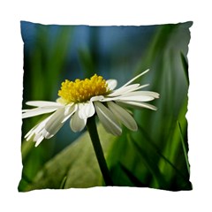 Daisy Cushion Case (single Sided) 