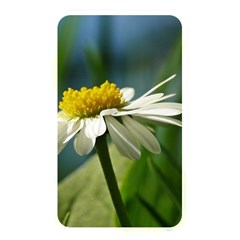 Daisy Memory Card Reader (rectangular)