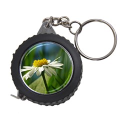 Daisy Measuring Tape by Siebenhuehner